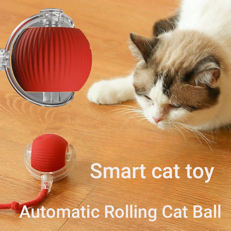 Thumbnail: RollMate