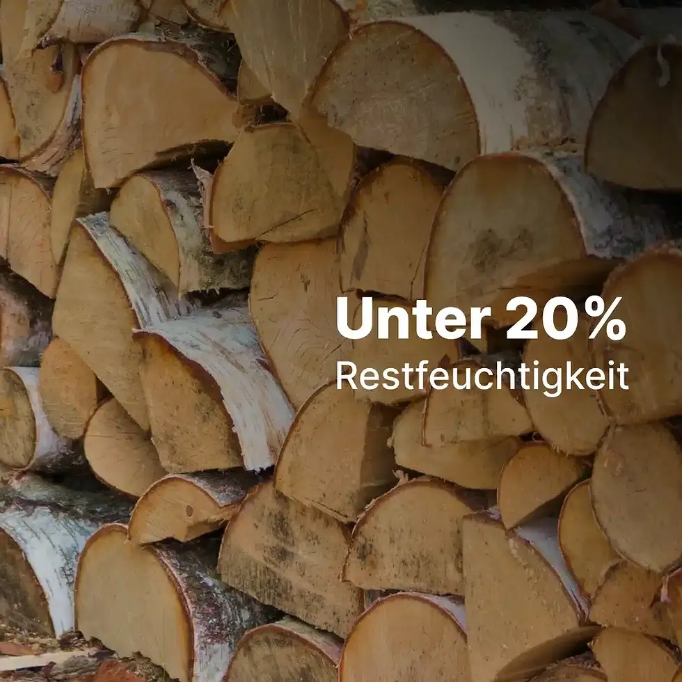 Miniaturbild: LKW-Ladung Kaminholz Birke