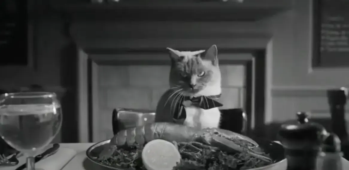12 Cat Food Commercial Examples That Nail It!