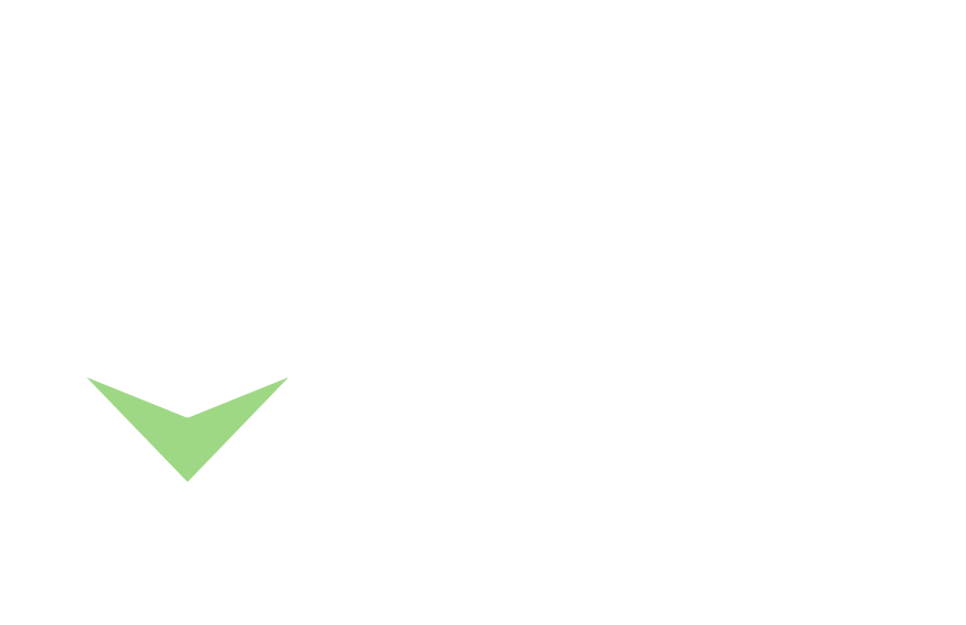 South Logo-White.png
