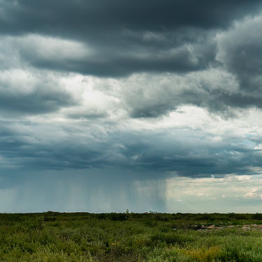 Rain falling over grassland under dark storm clouds, landscape. Pictures by Pablo Photography