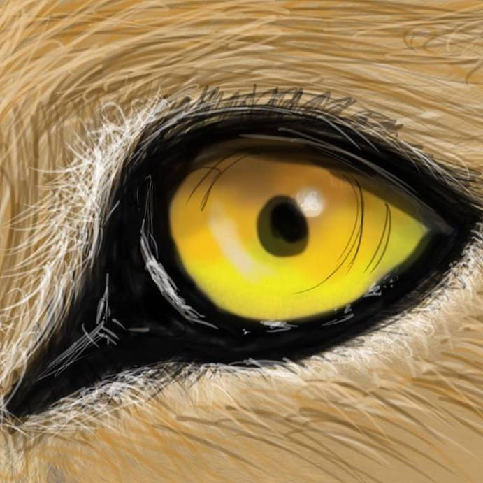 EyeofTHElion