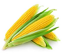 Sweet corn.png