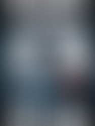 The Gray Man - Mark Greaney