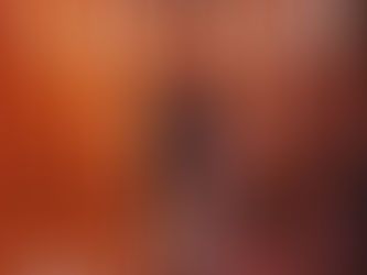 The Widow - John Grisham