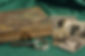 AdobeStock_249138644 (1).jpeg