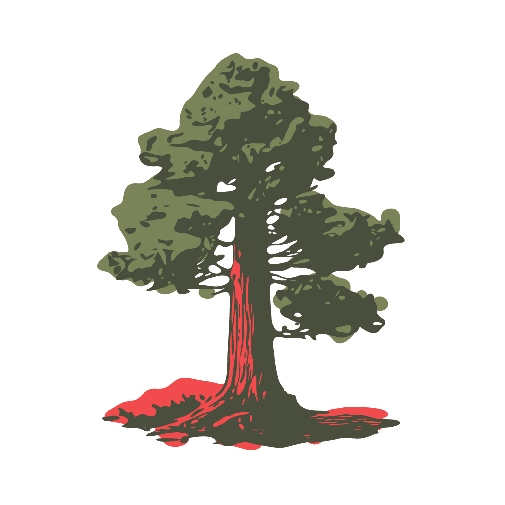 4-r-illustrations_redwood.png