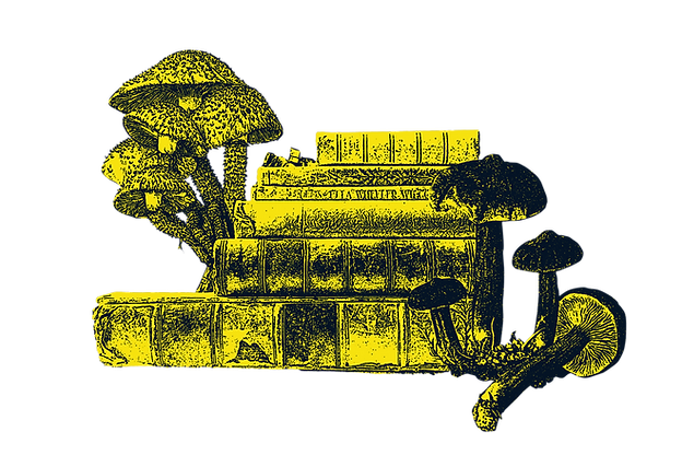 Mushroom books_edited.png