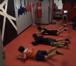 planks