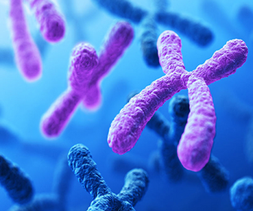 Understanding Chromosomal Abnormalities: Diagnosis, Treatment, and Challenges.