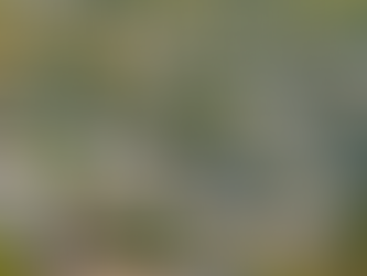 Think Home Prices Are Going To Fall? Think Again