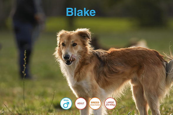 Blake.png