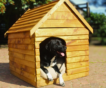 Community Kennel Project .jpg