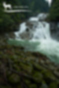 Clayton Falls