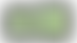 CBD Akutbalsam als Winterpflege von Unser Kraut