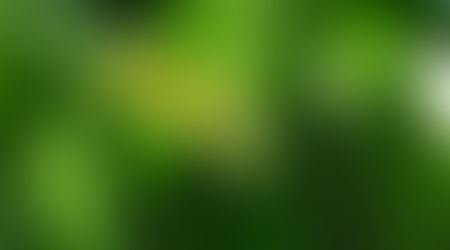 CBD richtig dosieren