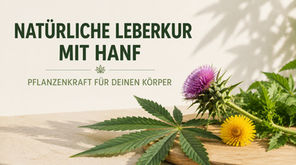 natürliche Leberkur mit Hanf