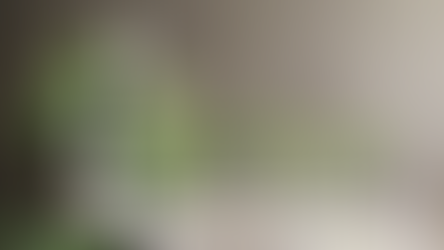 Gesichtspflege mit CBD | Testbericht         