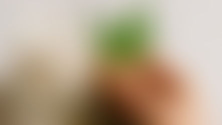 Glass of homemade hemp milk with hemp seeds on fabric