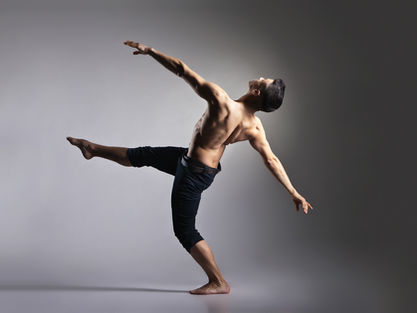 Physiotherapy; A protected title !