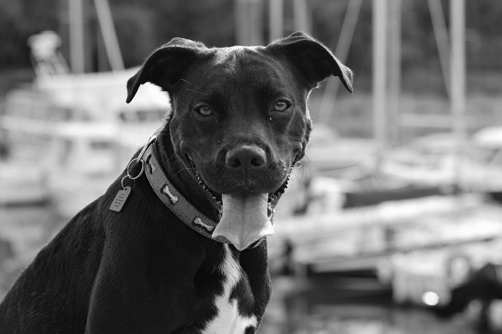 DSC_0259_InPixio