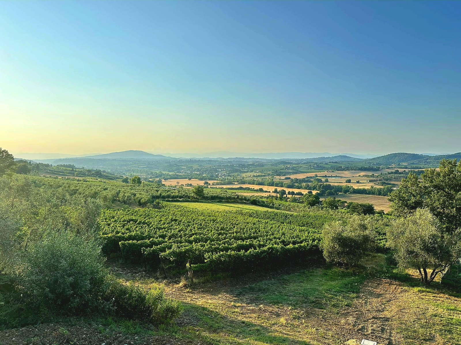 Agricampeggio Cipollatico — photo 2