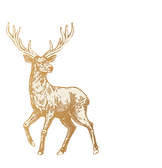 reindeer 2