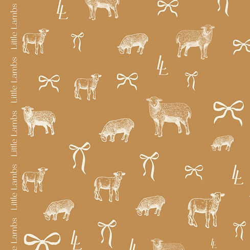 Little Lamb Clothing Wear - Email Background_edited.jpg