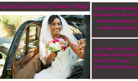 CALL US TODAY! FOR A FREE WEDDING CONSULTATION! 
813-697-4909 or visit www.plantedessentials.net