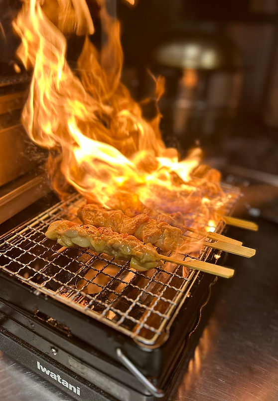 Delicious skewers grilling on a Breville countertop grill with huge flames.