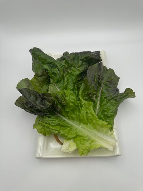 Fresh lettuce leaves on a white plate