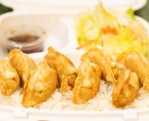 Close-up of fried dumplings, rice and side salad in a container. Teriyaki Plus