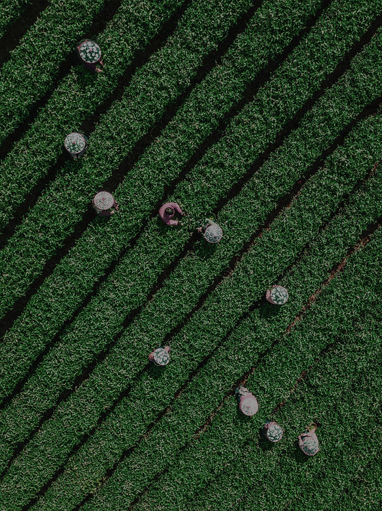 【48264901】 拷贝3.jpg