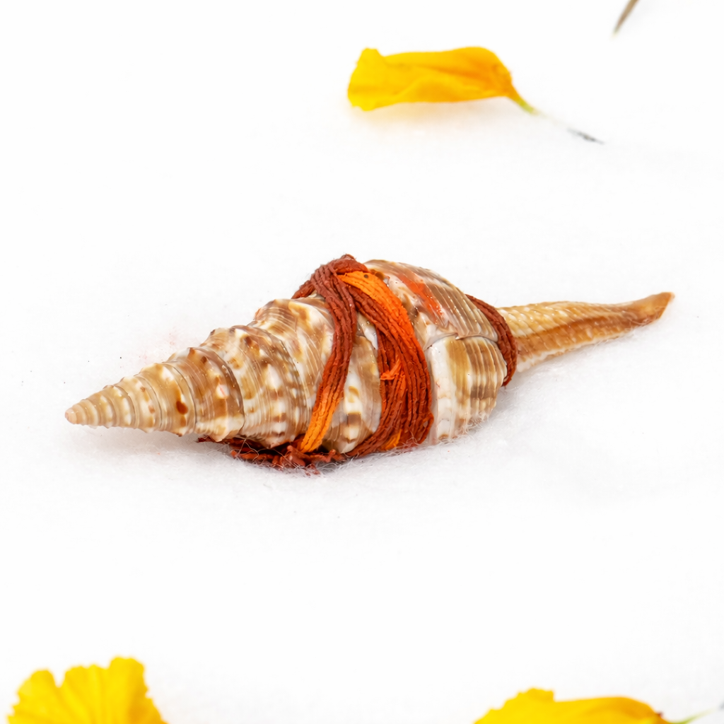 ChatGPT Image Mar 25, 2026, 05_55_16 PM.png