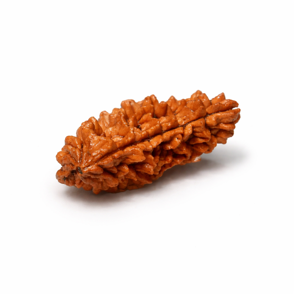 ChatGPT Image Mar 25, 2026, 05_55_19 PM.png