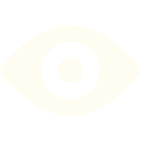 vision (1).png
