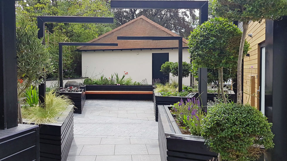 contemporary garden design in grantham designed by tythorne garden design
