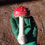 Miniatura: Cogumelo Amanita Muscaria