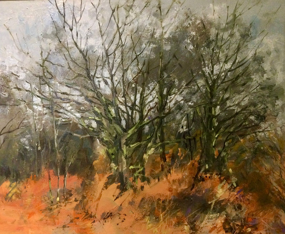 Autumn Trees near Laurieston