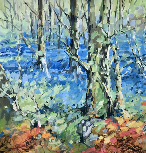 Bluebell time