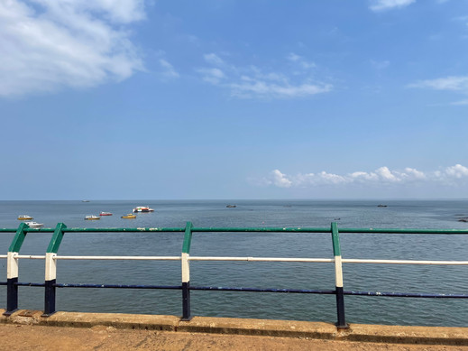 IMG_2848.jpeg