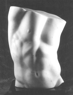 Male Torso (front)