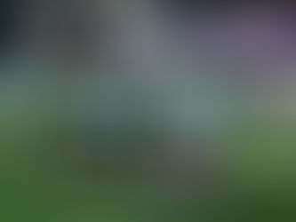 Ticket Sales Information: London City Lionesses vs Aston Villa