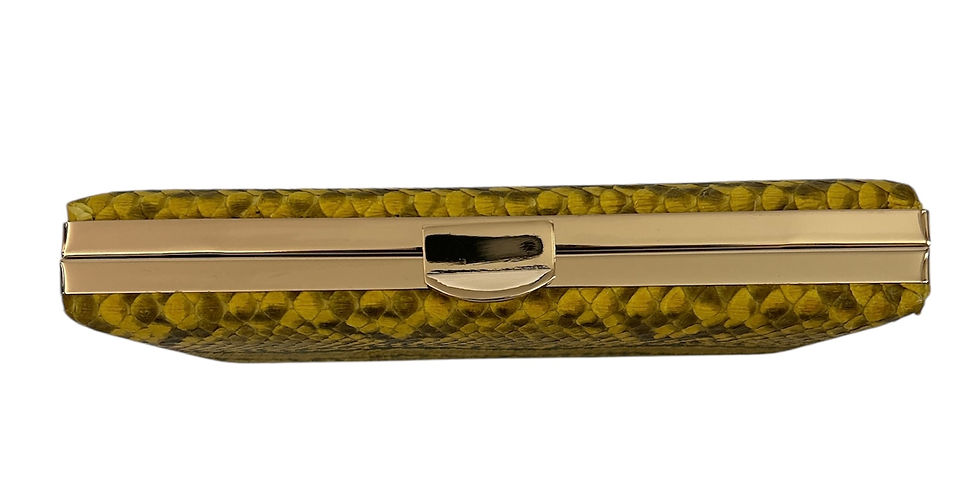 Thumbnail: Annie®️ Artemis Python Minaudière 