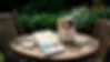 téléchargement (32).webp