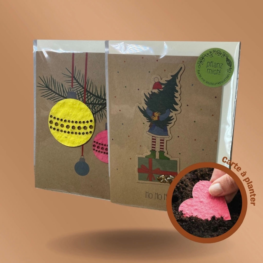 Carte de voeux à planter de Noël - planter pour un cadeau durable