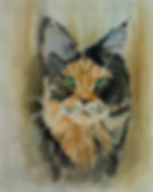cat portrait