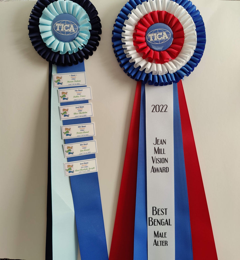 Two 2022 TCGA Best Bengal ribbons