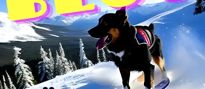 Köpeğinize göz kırpın