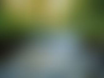 The Art of Mindful Living